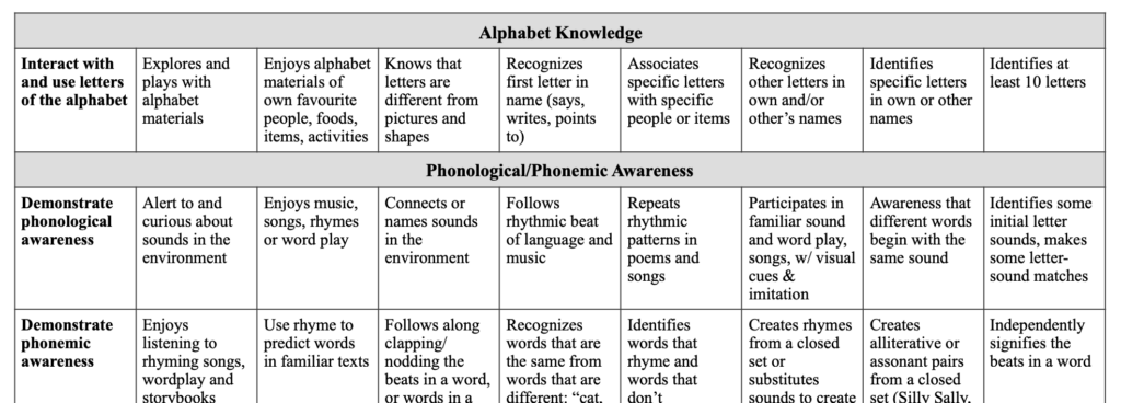 A landscape chart with 9 columns and 5 rows. The first and third row are headings for the row beneath. The other rows have short text description in each box.