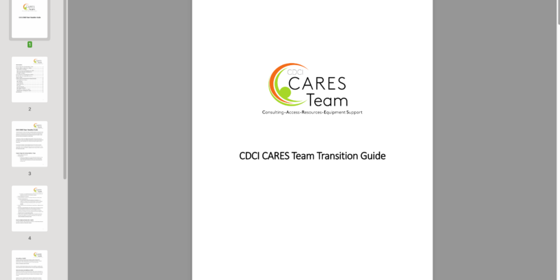 Thumbnail of a transition guide document