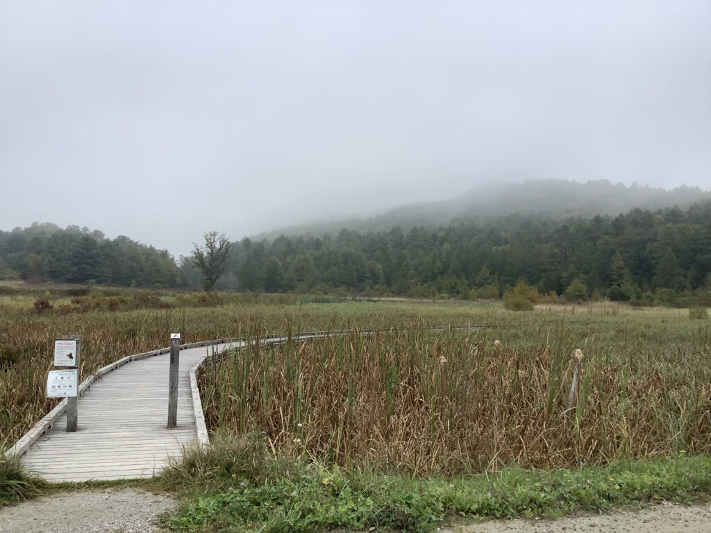 The entrance to a wooden boardwalk leading across a heavily planted bog, under a thick layer of mist. Rolling hills barely visible through the mist in the background.