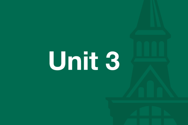 Text: Unit 3