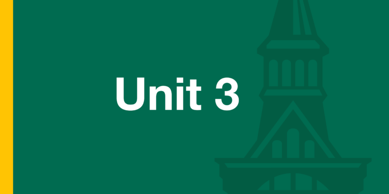 Text: Unit 3