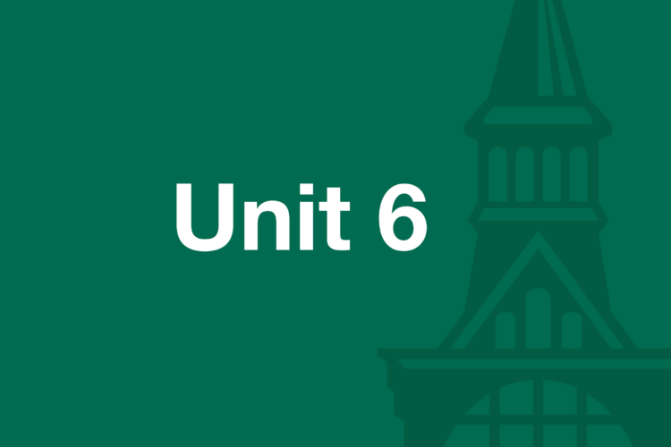 Text: Unit 6