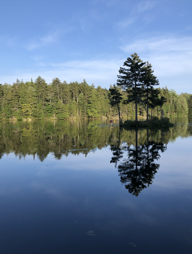 A lone dark pine tree reflected in perfectly still water under a blue sky sketched with wispy clouds. A stand of thick pines lurks in the background, and in the reflection