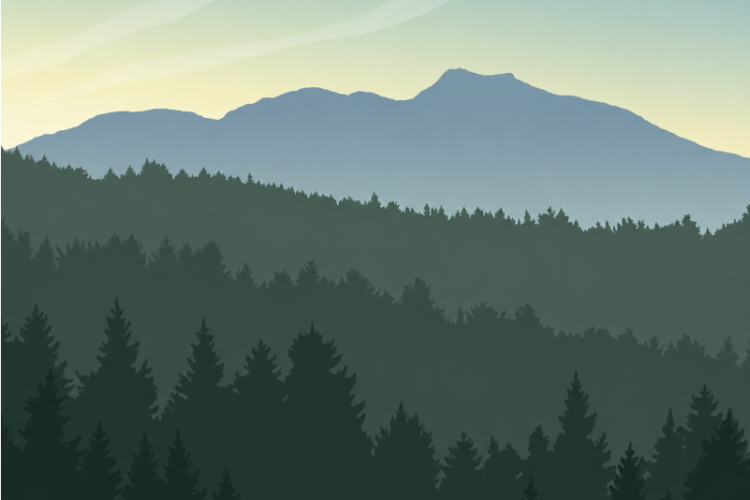 Illustration of Mt. Mansfield forested hills
