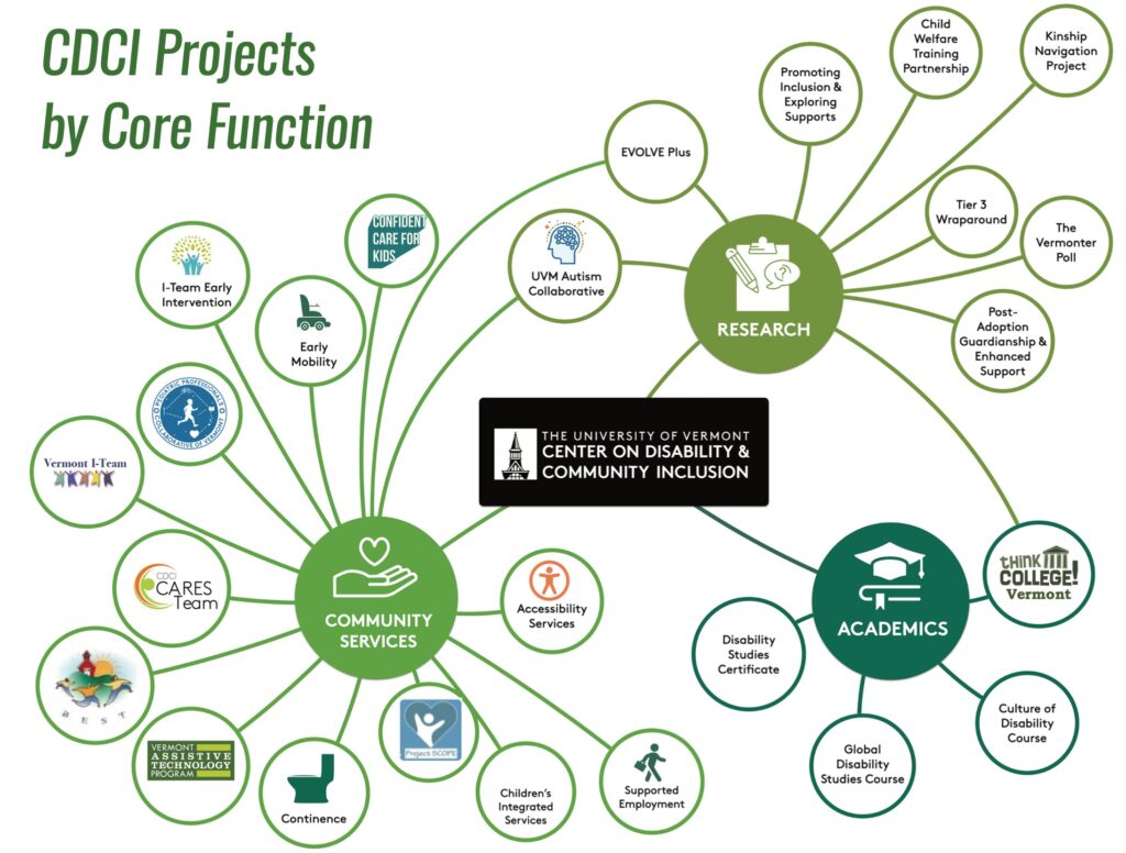 29 projects organized by the three core functions at CDCI. A full list of the projects and the core functions appears below this graphic.