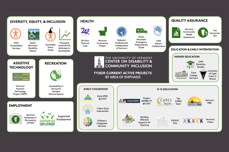 Detailed chart of projects by area of emphasis at CDCI