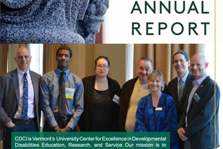 Thumbnail for 2019 CDCI Annual Report