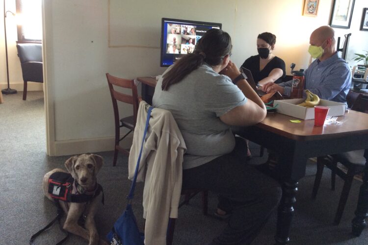 A trio of people, two masked, gather around a table on which a Zoom meeting is taking place. A service labradoodle looks on from below the table.