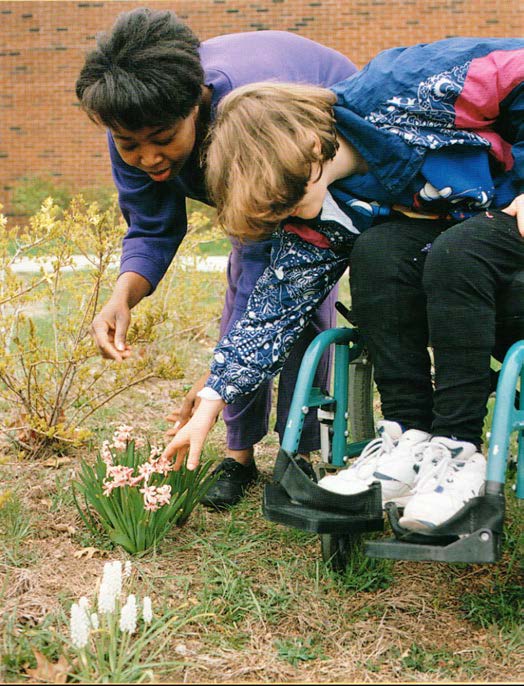 Figure 1a. A teenage girl and her intervener are on a walk in early spring. The girl is
reaching her right hand down from her wheelchair to explore a flower on the ground.
Her intervener watches her hand and body as a way of showing respect before entering
into conversation.