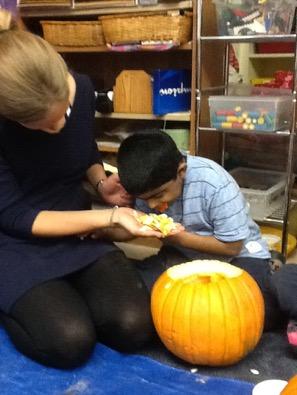 Figure 9b. A young boy is participating in his first grade science unit “All About
Pumpkins.” He is sitting in front of a big pumpkin, exploring it with multiple senses:
vision, hearing, touch, smell, and taste. The adult partner holds pieces of the pumpkin in
her hand. He pulls her hand close to his so he can smell the inside of the pumpkin, taste
it and look at it more closely. This experience may help him develop the concepts that
the pumpkin grew from seeds and the seeds are small, the pumpkins are big, and that
pumpkins are wet on the inside and they smell good.