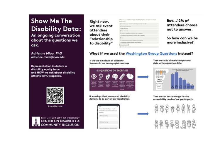 Show Me the Disability Data research poster thumbnail