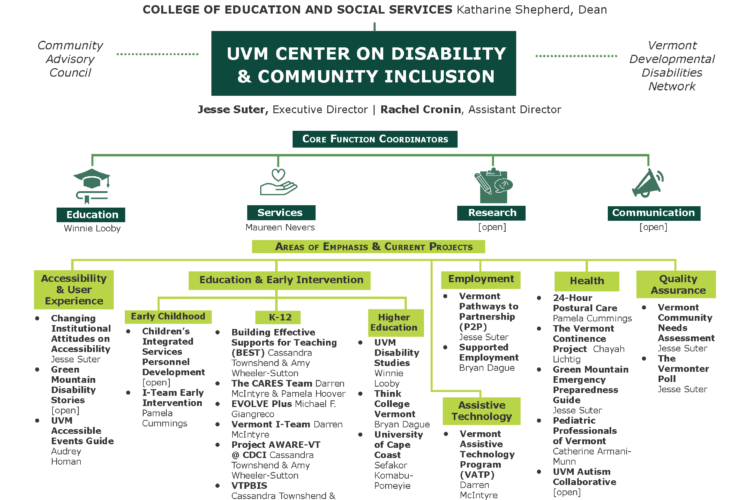 A detailed chart showing the organization of projects at CDCI