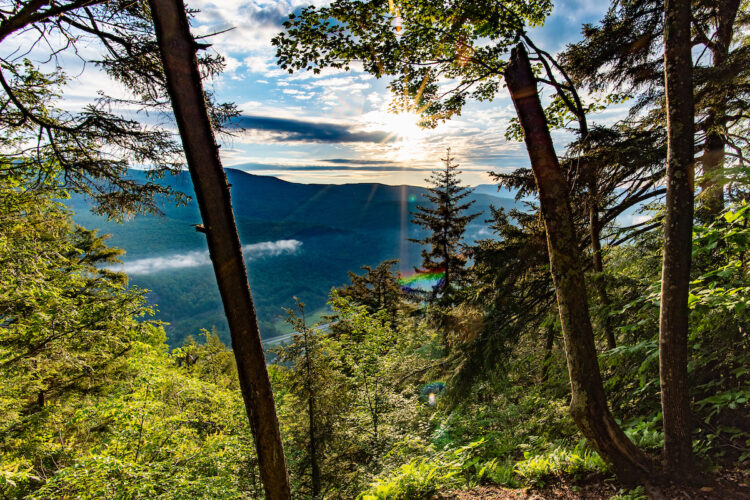 Camel’s Hump Mountain seen through pine trees with sun shining above mountain.